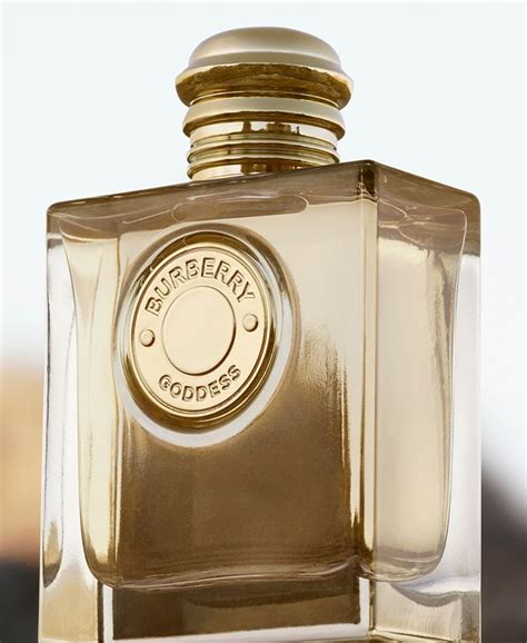 mr burberry macys fragrantica|burberry goddess perfume macy's.